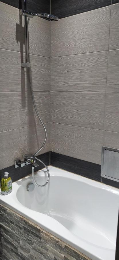 Apartament Kaja Сємяновіце-Шльонськє Екстер'єр фото
