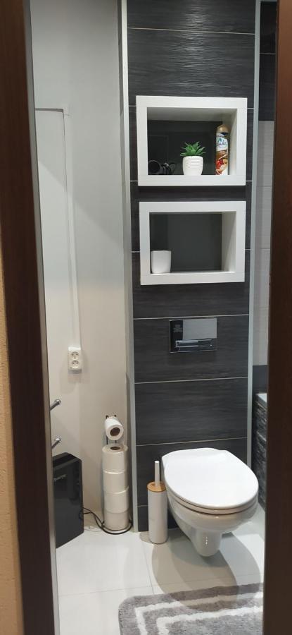 Apartament Kaja Сємяновіце-Шльонськє Екстер'єр фото