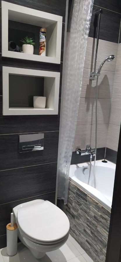 Apartament Kaja Сємяновіце-Шльонськє Екстер'єр фото