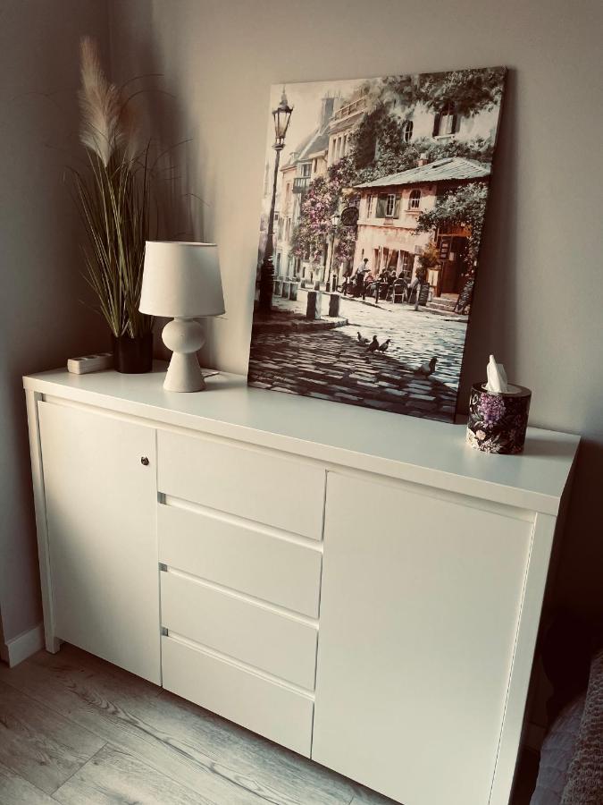 Apartament Kaja Сємяновіце-Шльонськє Екстер'єр фото